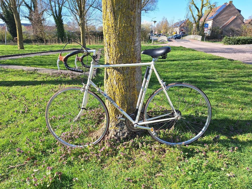 Vintage Gazelle racefiets heren, Ophalen, 28 inch, Gebruikt, 10 tot 15 versnellingen
