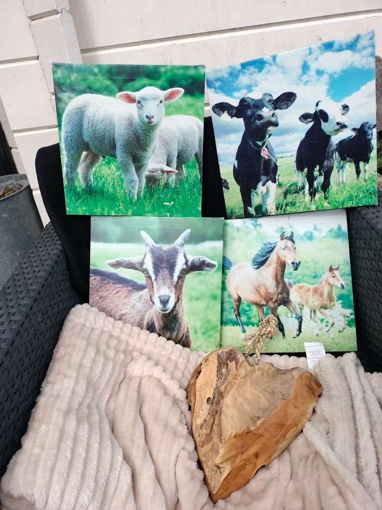 Schilderijtjes voor buiten.camfas, Tuin en Terras, Bloembakken en Plantenbakken, Ophalen of Verzenden, Rond, Kunststof, Minder dan 30 cm