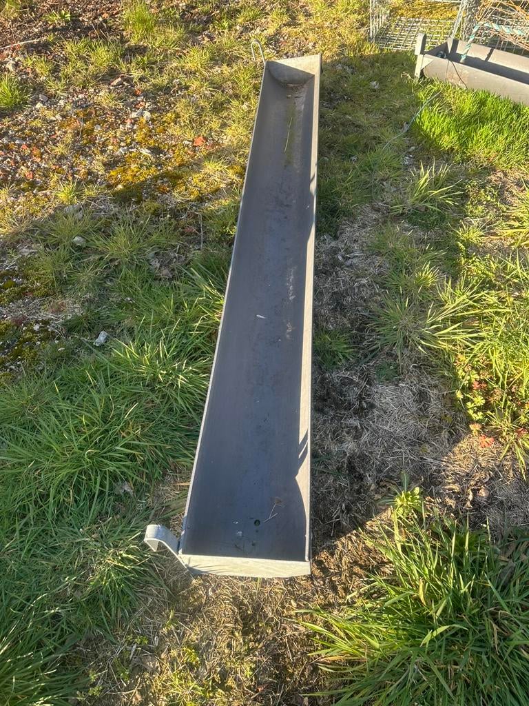 Voertrog, Dieren en Toebehoren, Schapen, Geiten en Varkens, Mannelijk