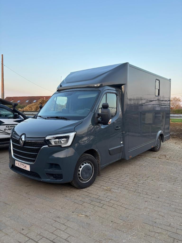 paardenwagen renault master 2021, Dieren en Toebehoren, Paarden en Pony's | Trailers en Aanhangwagens, Ophalen, Zo goed als nieuw