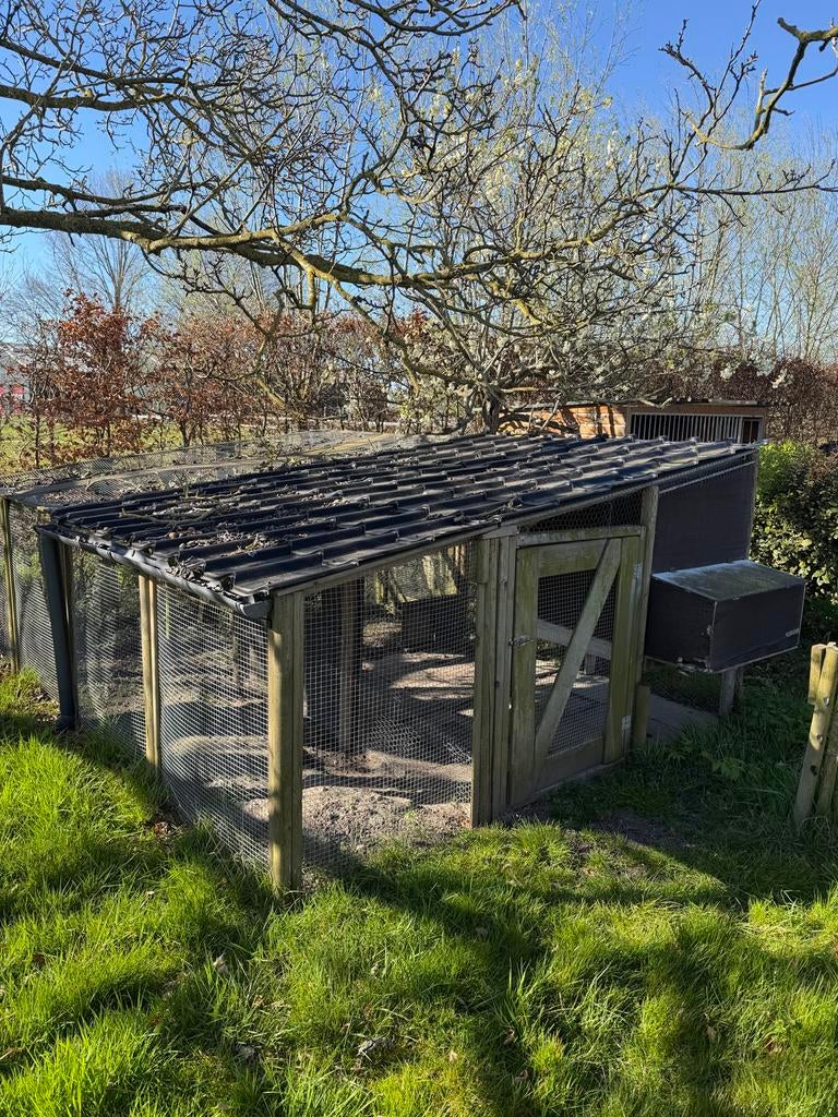 Kippenhok gratis af te halen, Ophalen of Verzenden, Gebruikt, Kippenhok of Kippenren