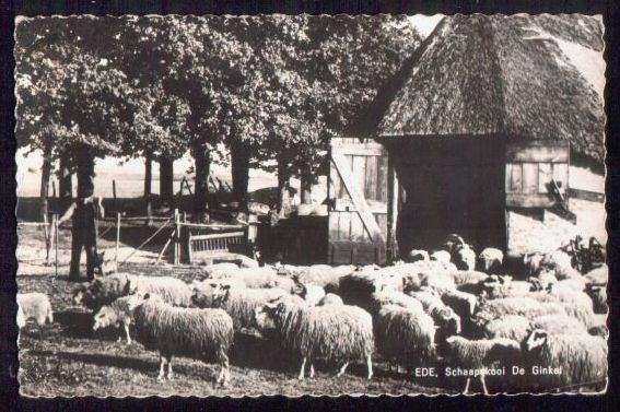 Ede - Schaapskooi De Ginkel, Verzenden, 1960 tot 1980, Gelopen, Gelderland