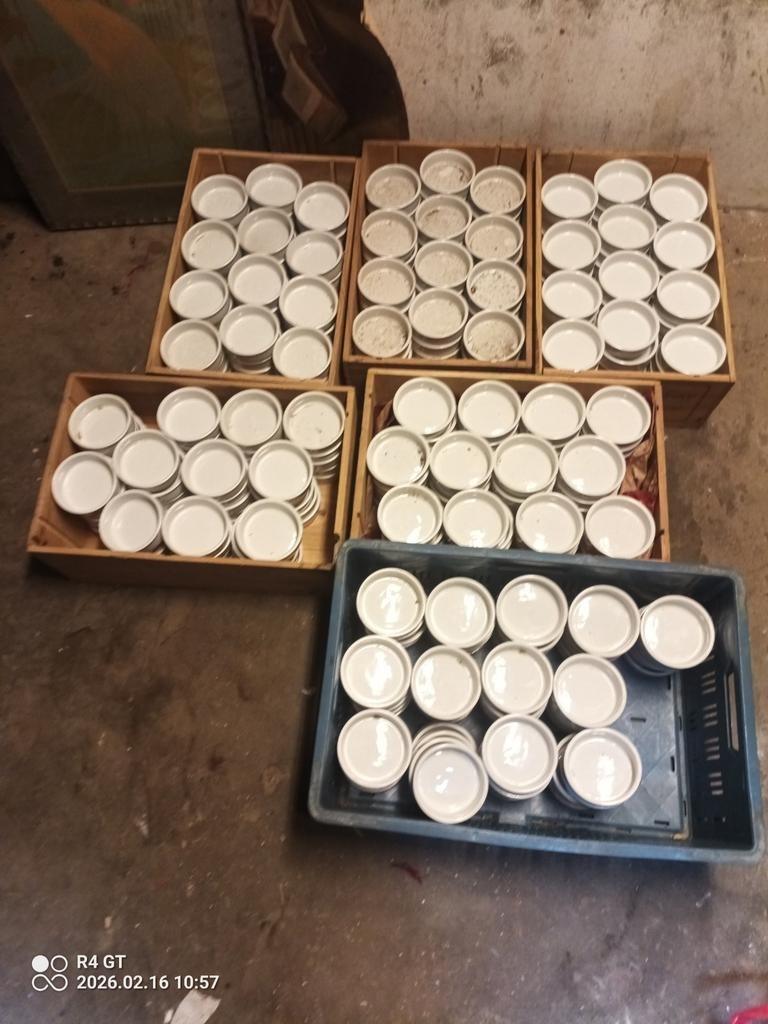 Porseleinen Bakjes Horeca Kwaliteit - Crème Brulee, Nootjes, Nieuw, Ophalen of Verzenden, Kom(men), Effen