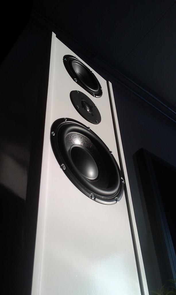 Set elegante zuil luidsprekers o.b.v. Peerless/Seas zelfbouw, Gebruikt, 60 tot 120 watt, Front, Rear of Stereo speakers, Ophalen