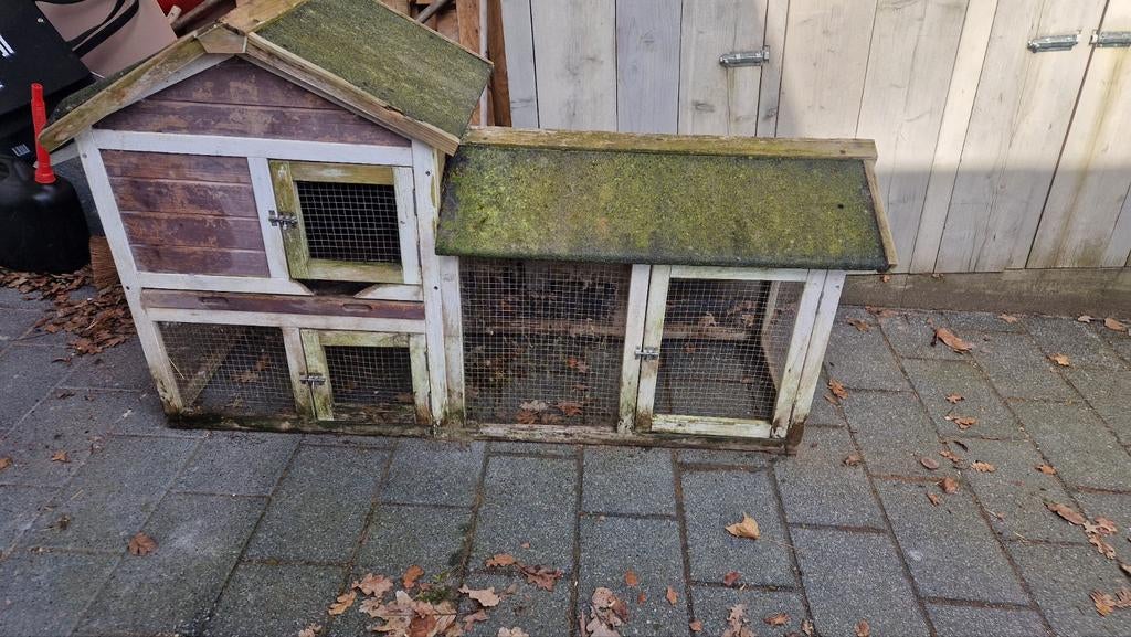 Konijnenhok, Vrouwelijk, Groot, 3 tot 5 jaar