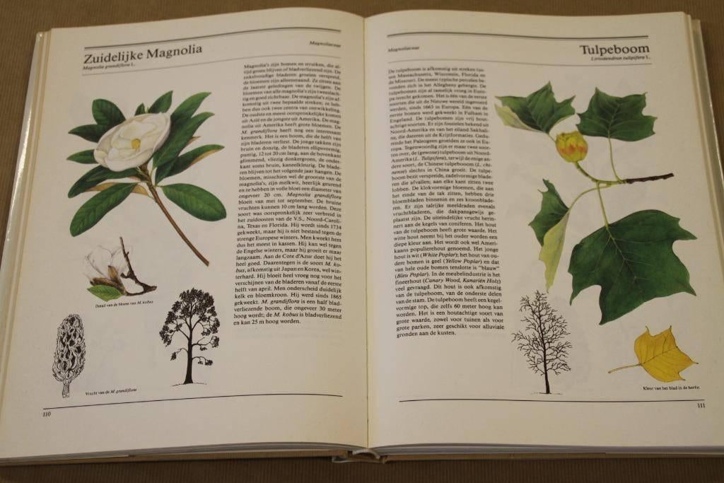 Dik boek Bomen en struiken - met 156 kleurenillustraties, Ophalen of Verzenden, Gelezen, Bloemen, Planten en Bomen