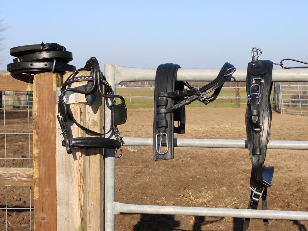 Te koop zwart mini shetlander en shetlander mentuig, ., Ophalen of Verzenden, ., .