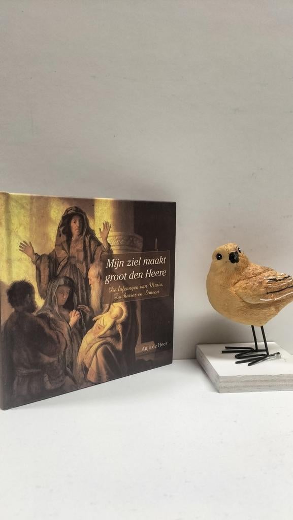 Heer, Anja de; Mijn ziel maakt groot den Heere, Ophalen of Verzenden, Gelezen, Artiest