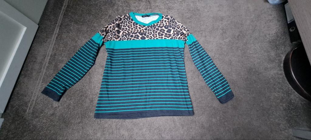 Zgan pescara truitje maat M/L, Maat 38/40 (M), Overige kleuren, Pescara, Ophalen of Verzenden