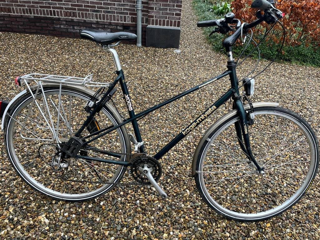Dames trekking- tourfiets Koga Adventure Lady, Ophalen, 28 inch, Koga Miyata, Meer dan 20 versnellingen