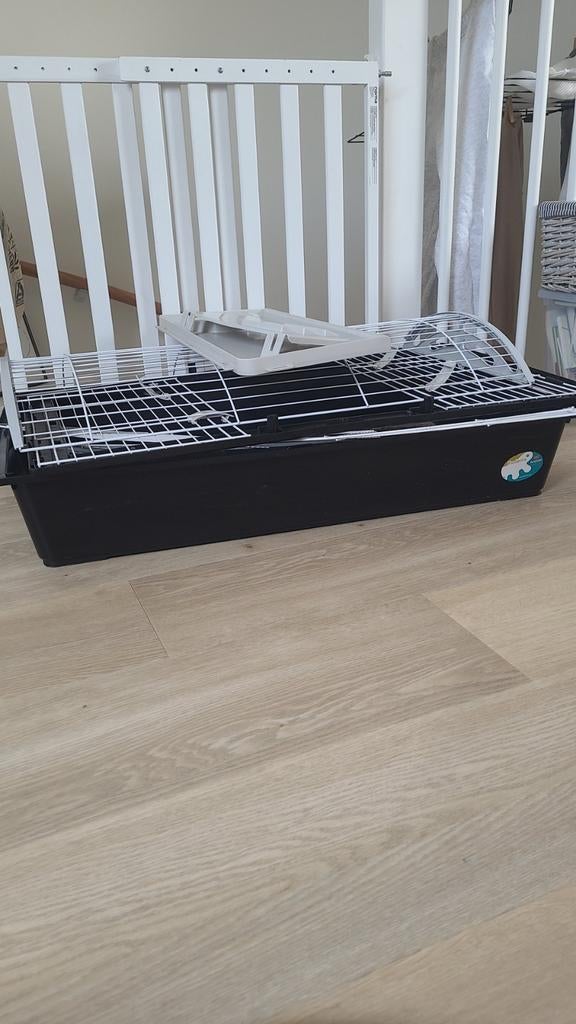 Knaagdierenkooi, Dieren en Toebehoren, Knaagdieren en Konijnen | Hokken en Kooien, Kooi, Gebruikt, 75 tot 110 cm, Cavia