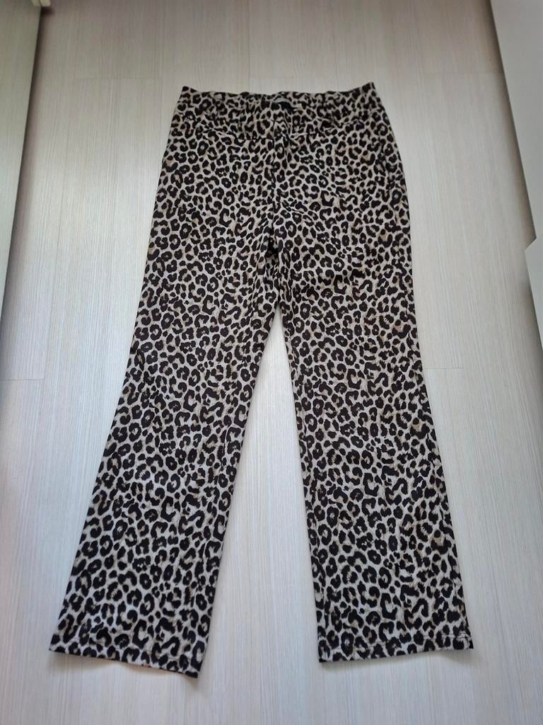Dreamstar broek maat XL, Kleding | Dames, Broeken en Pantalons, Dreamstar, Overige kleuren, Maat 46/48 (XL) of groter, Ophalen of Verzenden