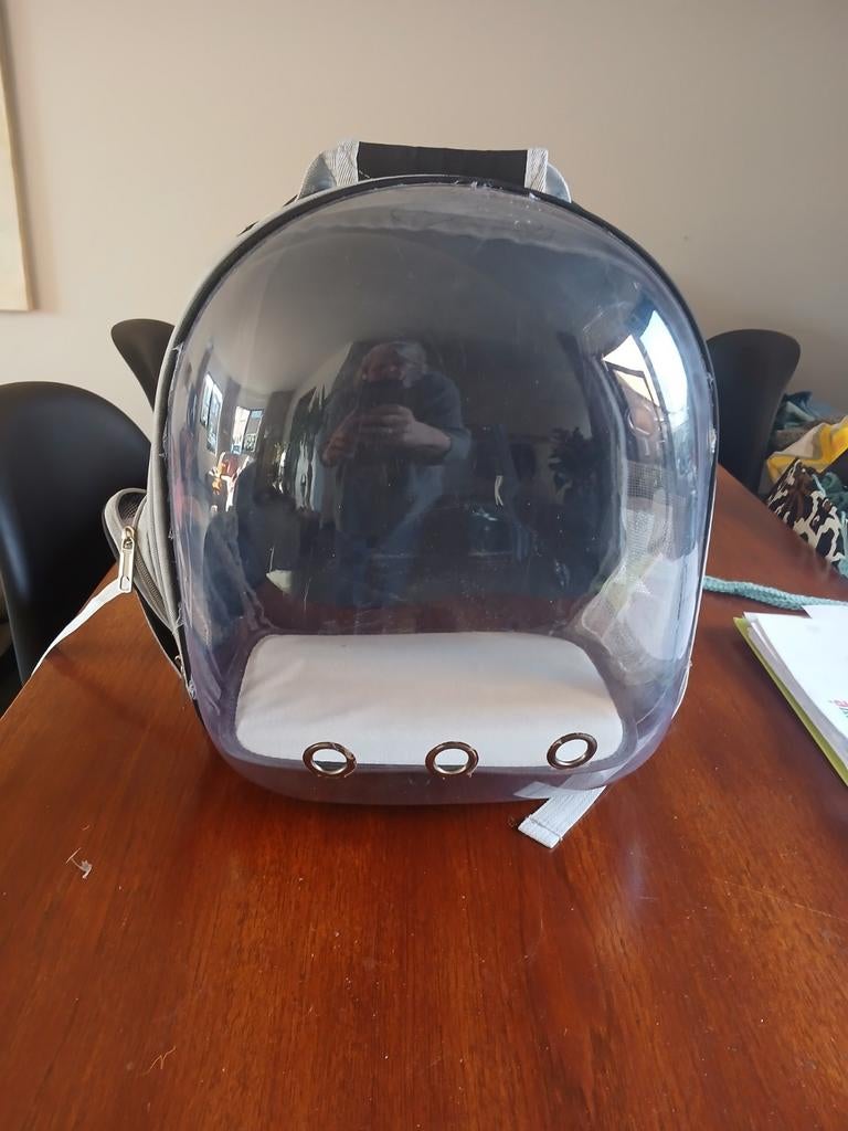 Te koop rugzak voor kleine hond of kat, Ophalen