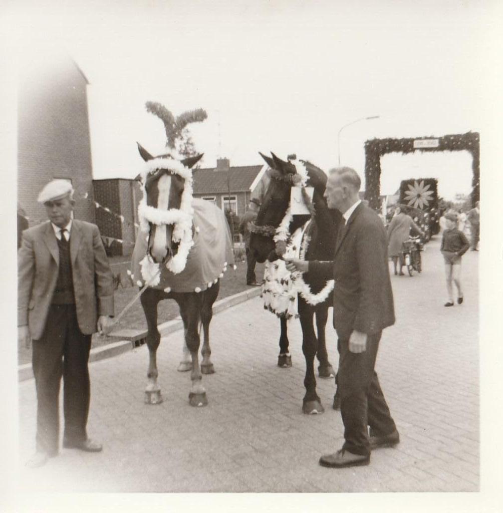 Versierde Paarden  1969, 1960 tot 1980, Foto, Ophalen of Verzenden, Zo goed als nieuw