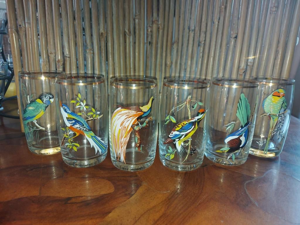 Mooie drinkglazen met vogels, Antiek en Kunst, Antiek | Glas en Kristal, Ophalen of Verzenden