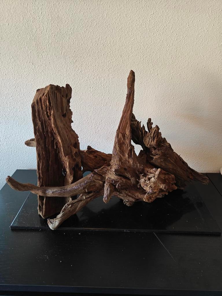 Aquarium Hout, Dieren en Toebehoren, Ophalen, Gebruikt, Plant(en), Steen of Hout