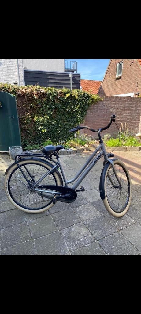 Giant Damesfiets - Grijs, Fietsen en Brommers, Fietsen | Dames | Damesfietsen, 50 tot 53 cm, Gebruikt, (Extra) lage instap, Giant