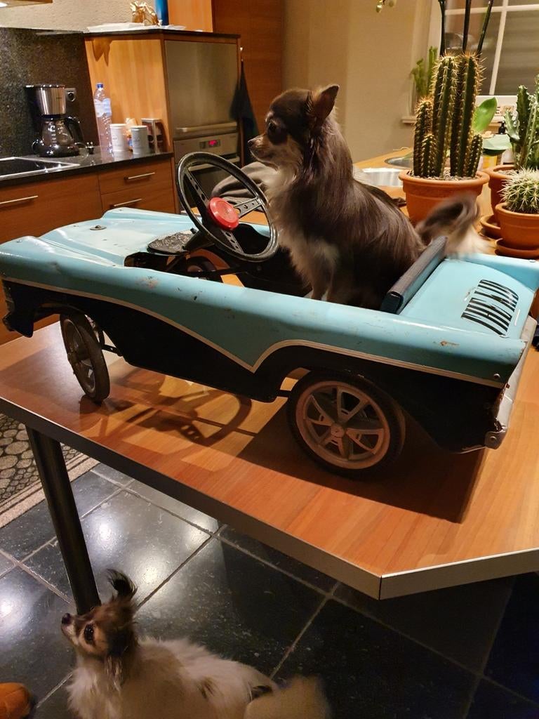 Trapauto Tri-ang, Ophalen