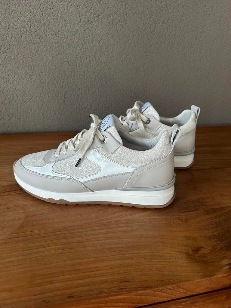 Floris van Bommel 38, Wit, Nieuw, Ophalen of Verzenden, Sneakers of Gympen