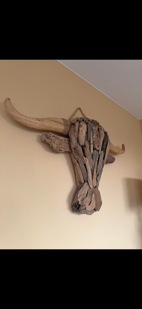 Buffelkop van drijfhout in nieuwstaat!, Ophalen of Verzenden, Zo goed als nieuw