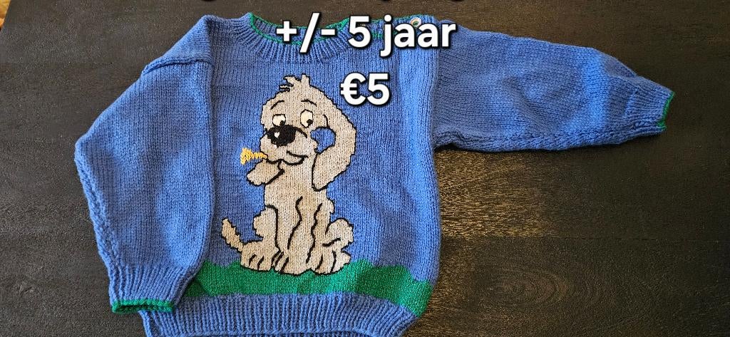 jongens trui, Trui of Vest, Ophalen of Verzenden, Zo goed als nieuw, Jongen