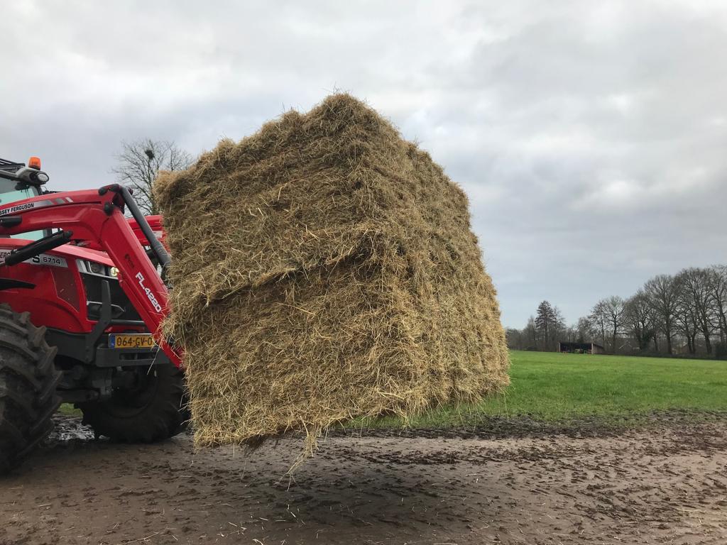 stro en hooi in kleine balen, Dieren en Toebehoren, Ophalen, Vee