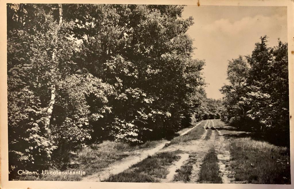 Chaam, Ulicotenslaantje jaren '50, Verzenden, 1940 tot 1960, Ongelopen, Noord-Brabant
