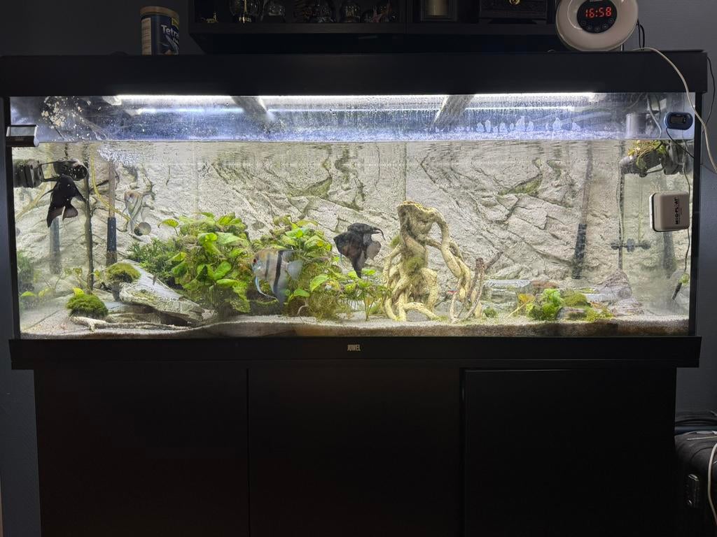 Super Compleet Aquarium, Ophalen, Zo goed als nieuw, Gevuld zoetwateraquarium