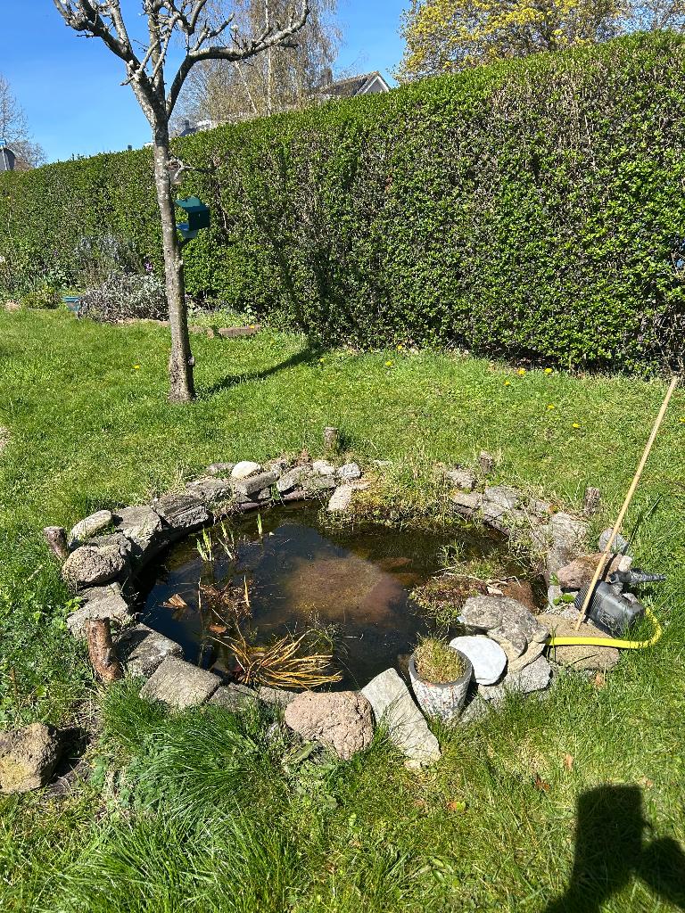 gratis tuinvijver, Ophalen, Gebruikt, 100 tot 250 mm, Overige typen