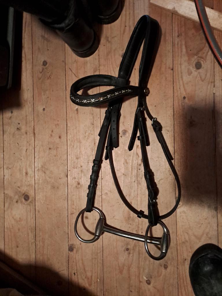 Halster, hoofdstel, Ophalen, Gebruikt, Overige soorten