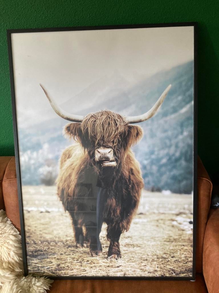 2 mooie platen, Ophalen, 50 tot 75 cm, 50 tot 75 cm, Print