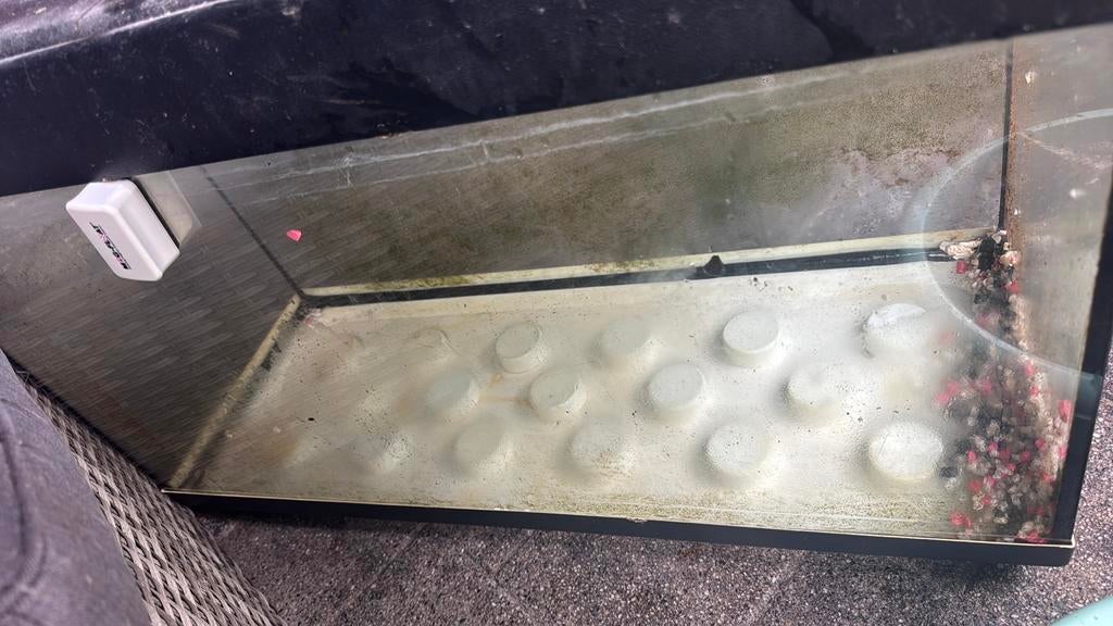 Groot aquarium, Dieren en Toebehoren, Vissen | Aquaria en Toebehoren, Ophalen, Gebruikt, Leeg aquarium