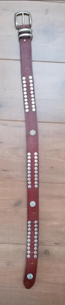 TRENDY cognackleur leren riem met studs 80cm, 3 tot 5 cm, Tailleriem, Ophalen of Verzenden, Zo goed als nieuw