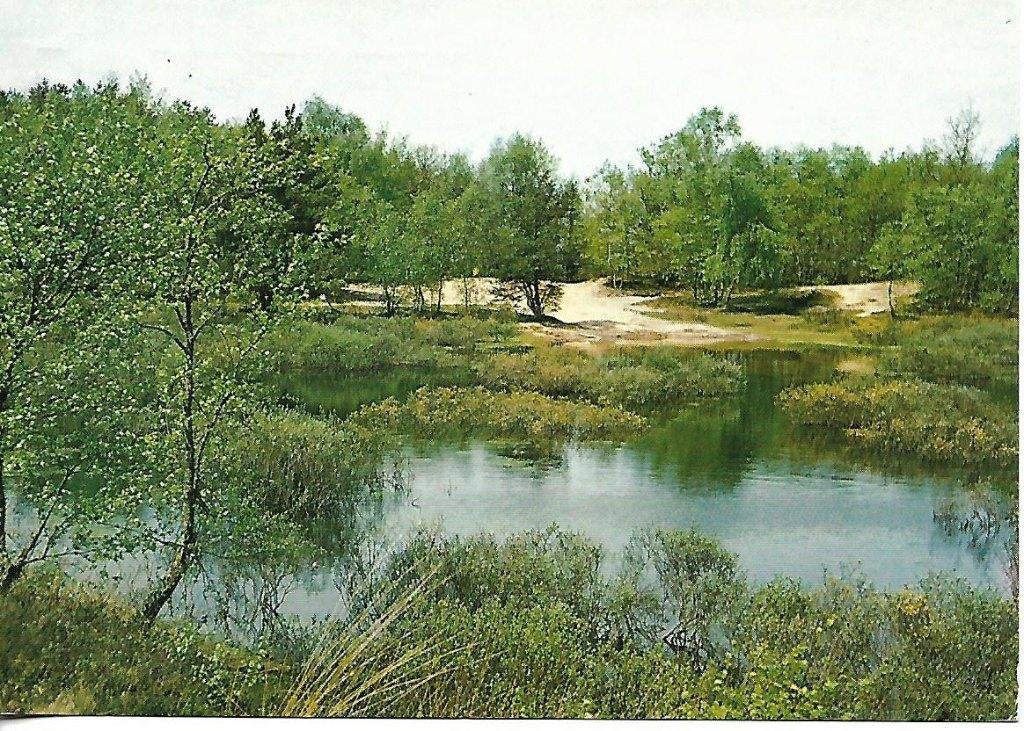 Appelscha- -Vennetje., Verzenden, 1960 tot 1980, Gelopen, Friesland