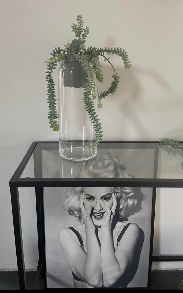 Mooie strakke glazen vaas met/zonder bio kamerplanten, Overige kleuren, Ophalen of Verzenden, Minder dan 50 cm, Glas