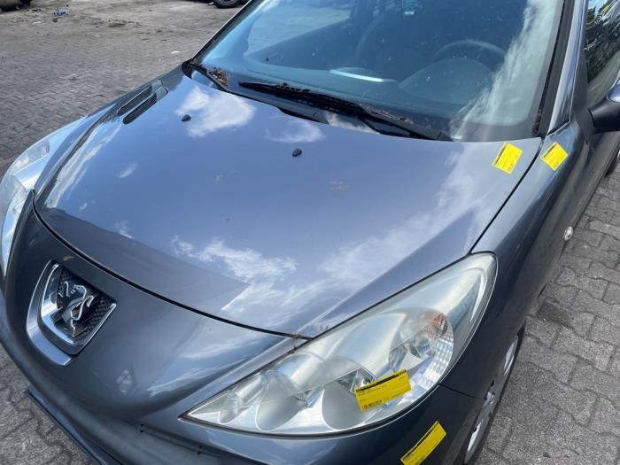 Motorkap van een Peugeot 206 PLUS (KTH), Auto-onderdelen, Carrosserie en Plaatwerk, Gebruikt, -, -, Ophalen of Verzenden