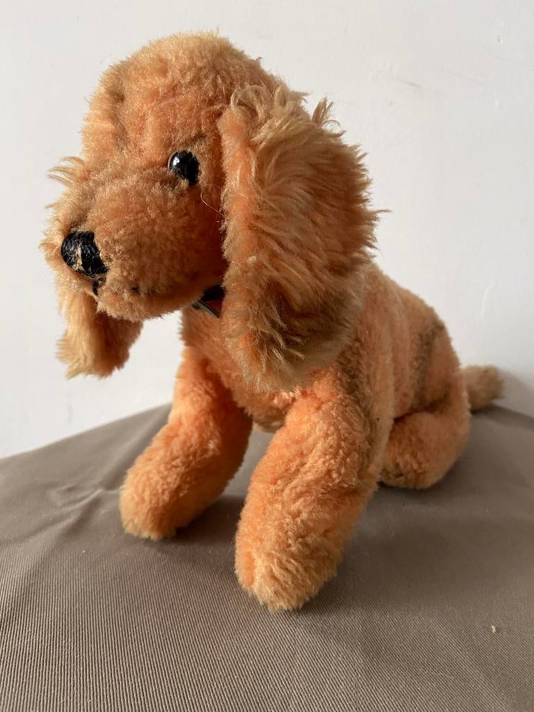 Steiff Cosy Bazi, teckel, 3620,00, Ophalen of Verzenden