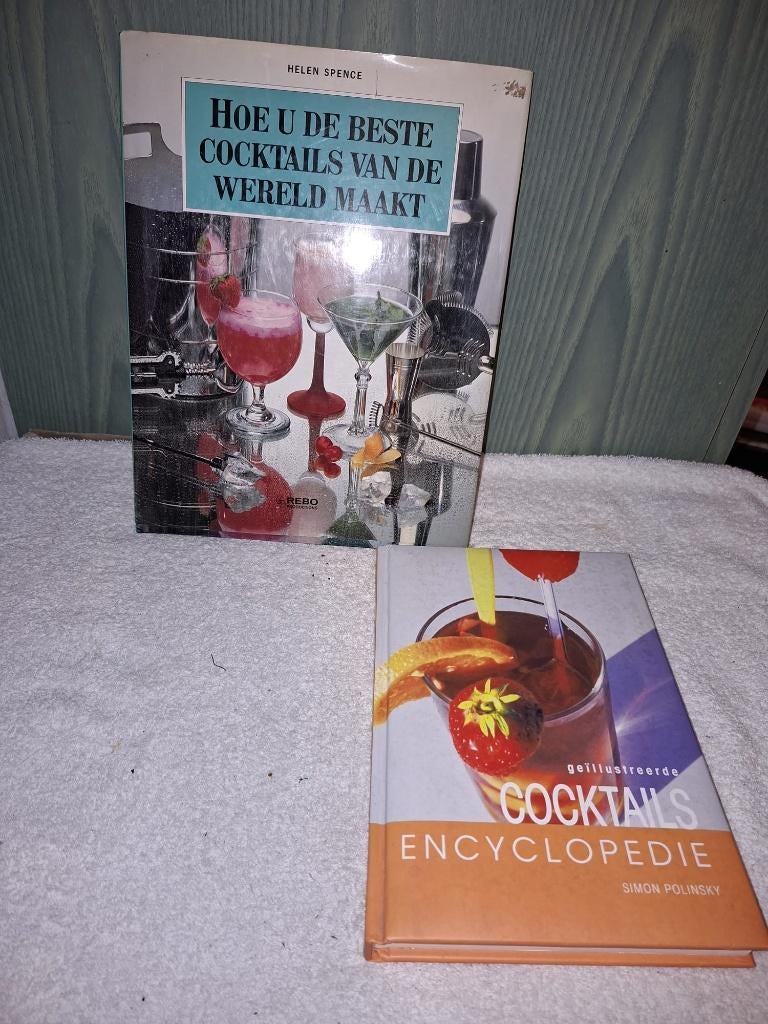 2 cocktails boeken, nieuwstaat, Ophalen of Verzenden, Nieuw, Overige gebieden