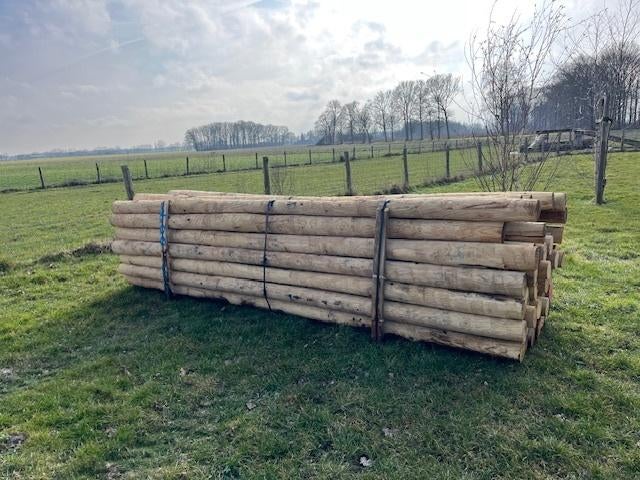 kastanje palen 400 cm, Ophalen, Nieuw, 250 cm of meer, Palen