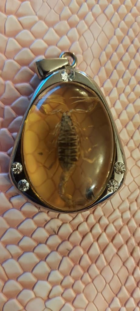 Zilverkleurige Hanger met Echte Goudgele Schorpioen in Hars, Overige materialen, Gebruikt, Ophalen of Verzenden, Zilver