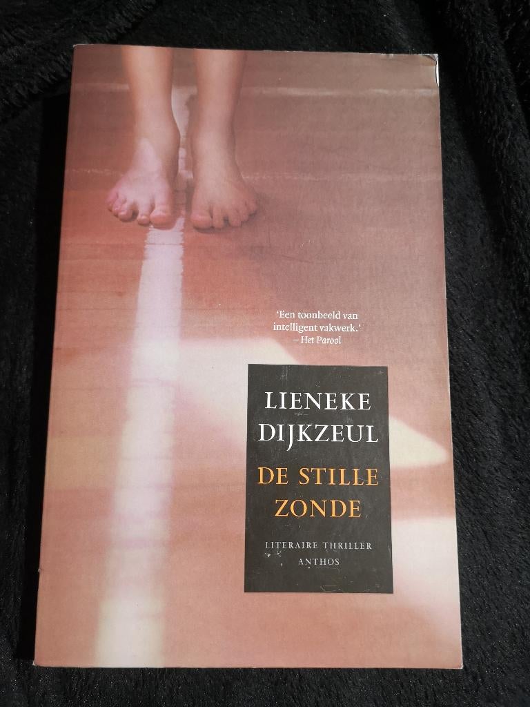 Lieneke Dijkzeul, De stille zonde, Ophalen of Verzenden, Gelezen