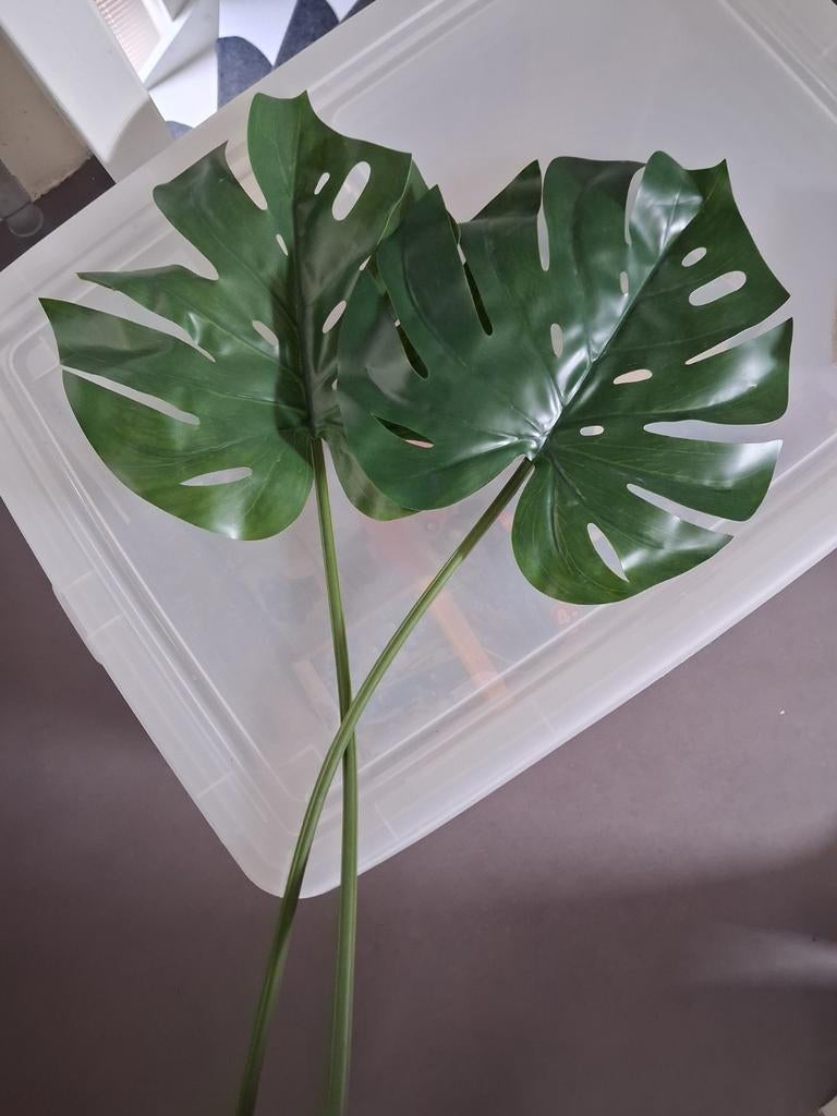 Twee kunst Monstera bladeren, Huis en Inrichting, Woonaccessoires | Kunstplanten en Kunstbloemen, Ophalen, Zo goed als nieuw