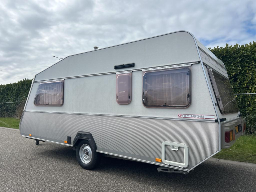 ZEER RUIME KIP 48 T GREY LINE, Overige typen, Standaardzit, Kip, A.G. Bellstraat 4 7903 AD Hoogeveen