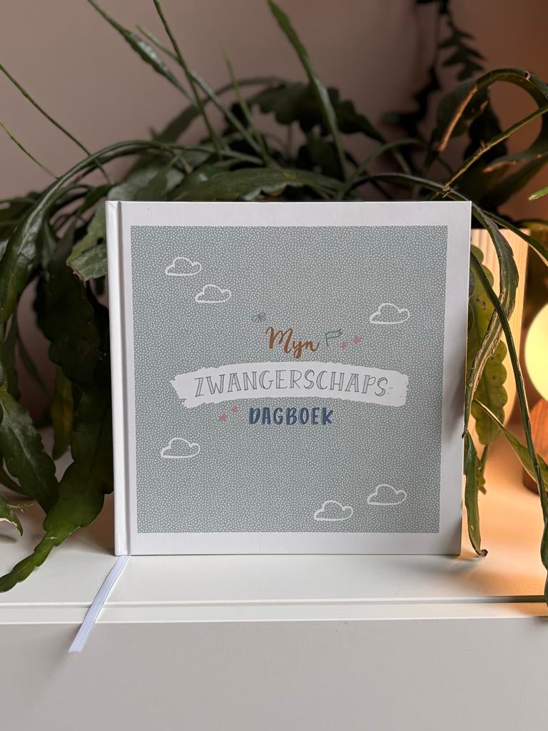 Mijn Zwangerschapsdagboek, Ophalen of Verzenden, Nieuw, Zwangerschap en Bevalling