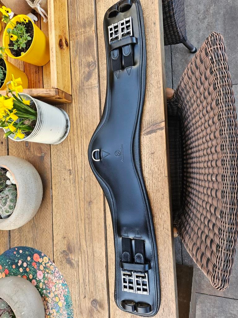 Anatomica dresuursingel, Ophalen of Verzenden, Dressuur