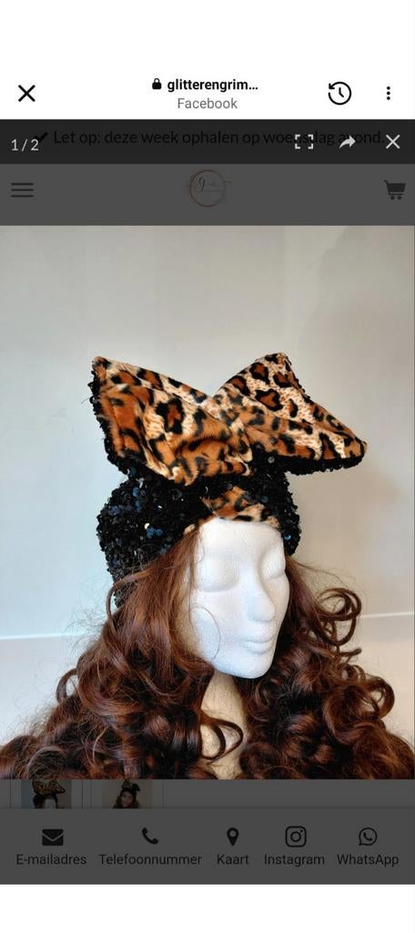 Opvallende Hoofdband met Glitter en Panterprint, Onbekend, Ophalen of Verzenden, Nieuw