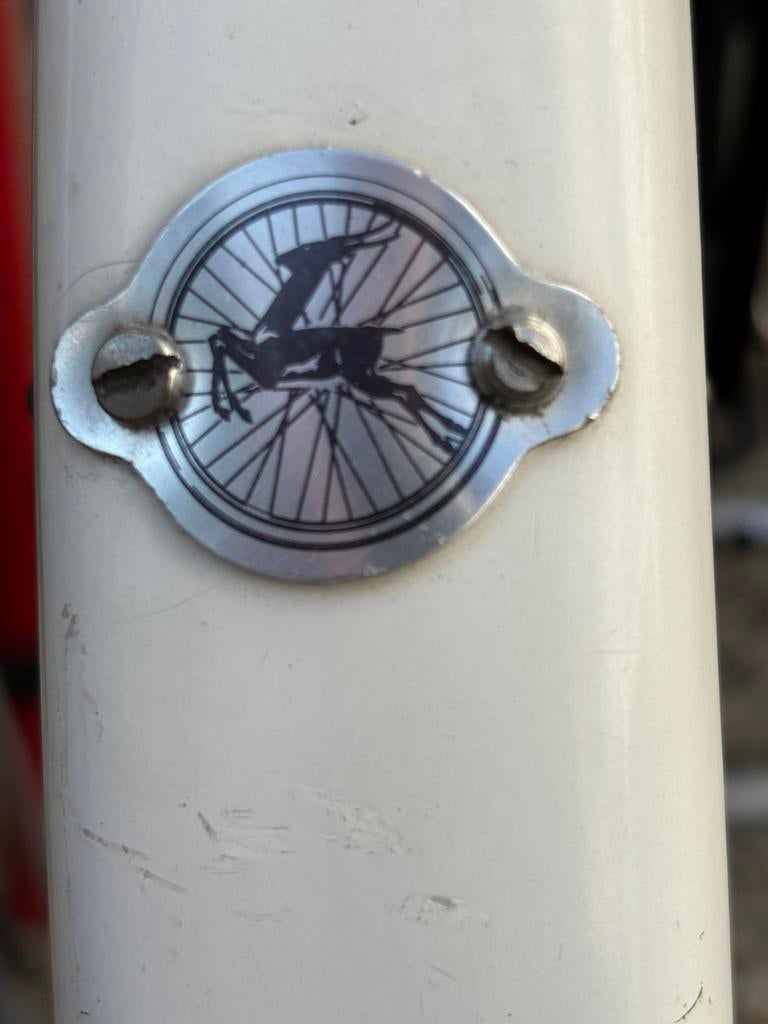 Oltimer Gazelle fiets met aankoopbon 1963!, Fietsen en Brommers, Fietsen | Oldtimers, 55 tot 59 cm, Ophalen, Gazelle, Jaren '60 of nieuwer