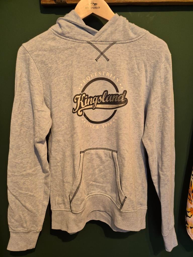 Kingsland Trui Maat M, Maat 38/40 (M), Kingsland, Ophalen of Verzenden, Grijs