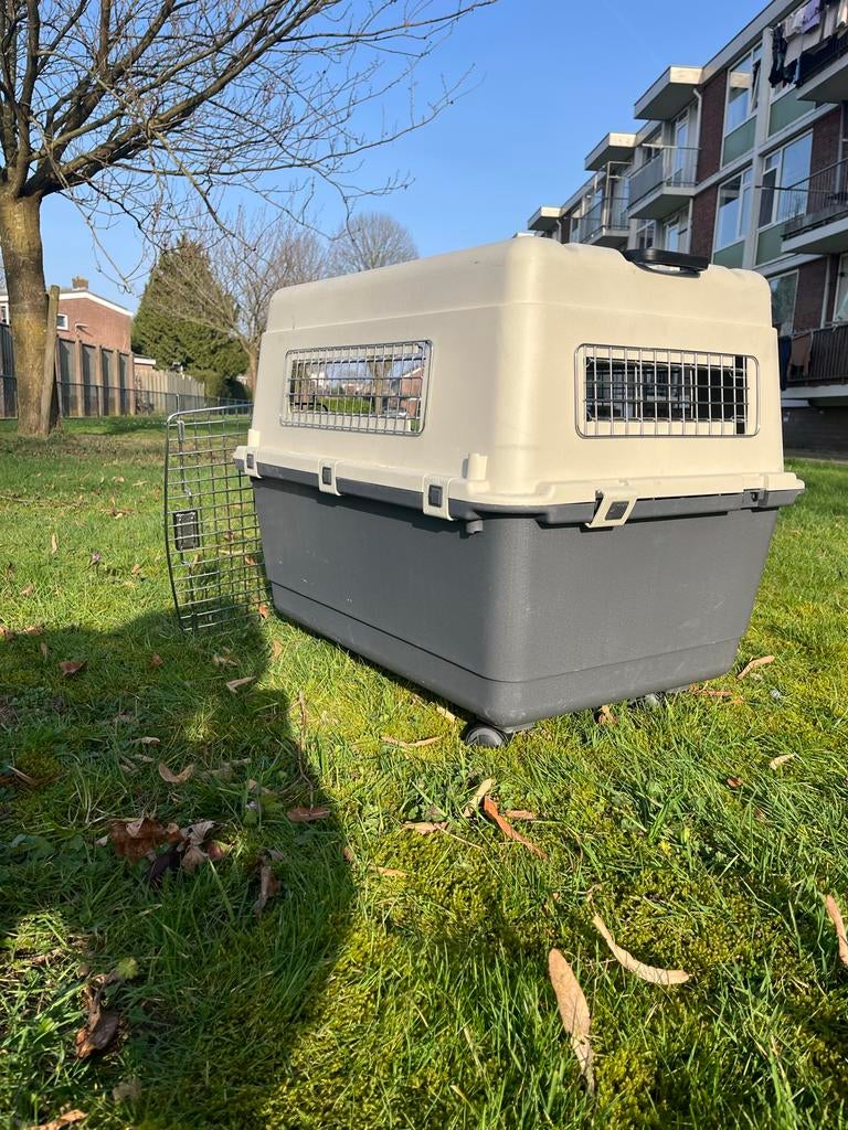 Transportbox, Dieren en Toebehoren, Ophalen of Verzenden, Zo goed als nieuw
