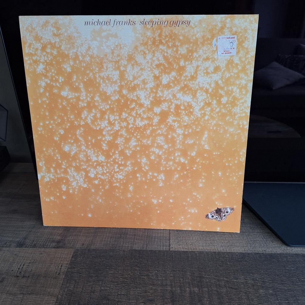 Michael franks sleeping gypsy, Ophalen of Verzenden, Gebruikt, 12 inch, Poprock